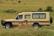 GlobeTracker Ekspedicija Afrika - Safari Lav
