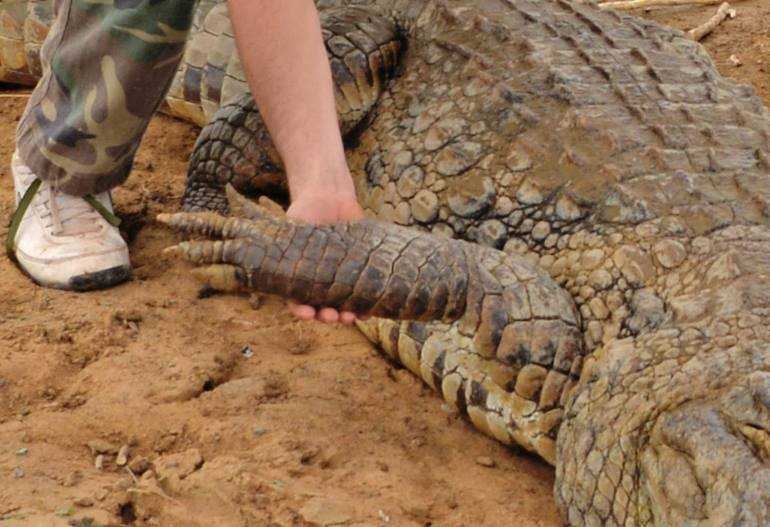 Vodič s putovanja - Bazoule — Burkina Faso: Foto priča Prijateljski susret u Bazoulu