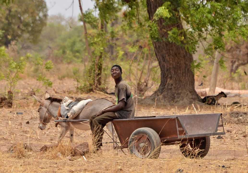 Vodič s putovanja - Bazoule — Burkina Faso: Foto priča Burkina Faso - Zemlja poštenih ljudi