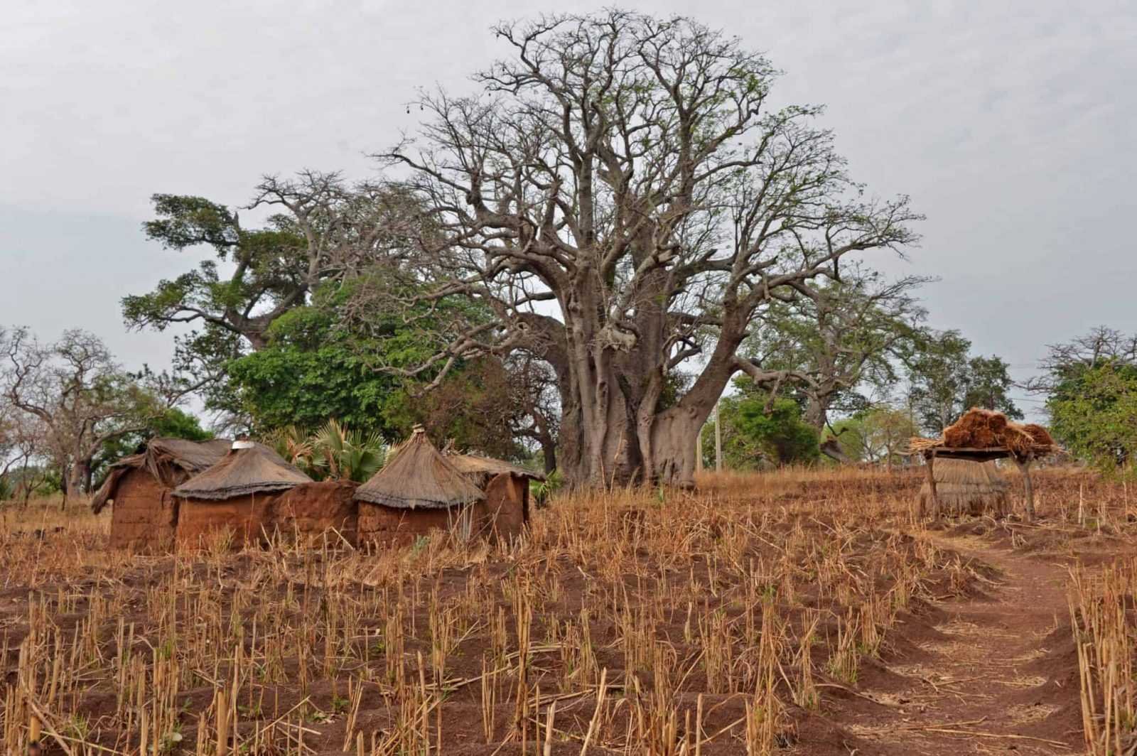 Tata Somba carstvo - Benin