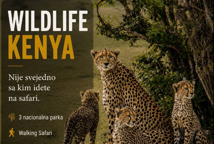 Wildlife Kenija Safari - safari aranžmani i putovanja u Keniju GlobeTracker