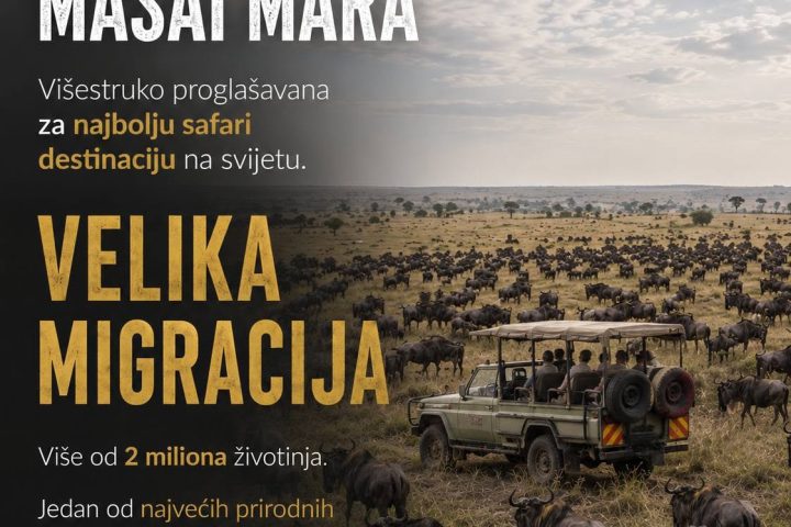Spektakularna velika migracija gnuova i zebri preko rijeke Mara u Keniji