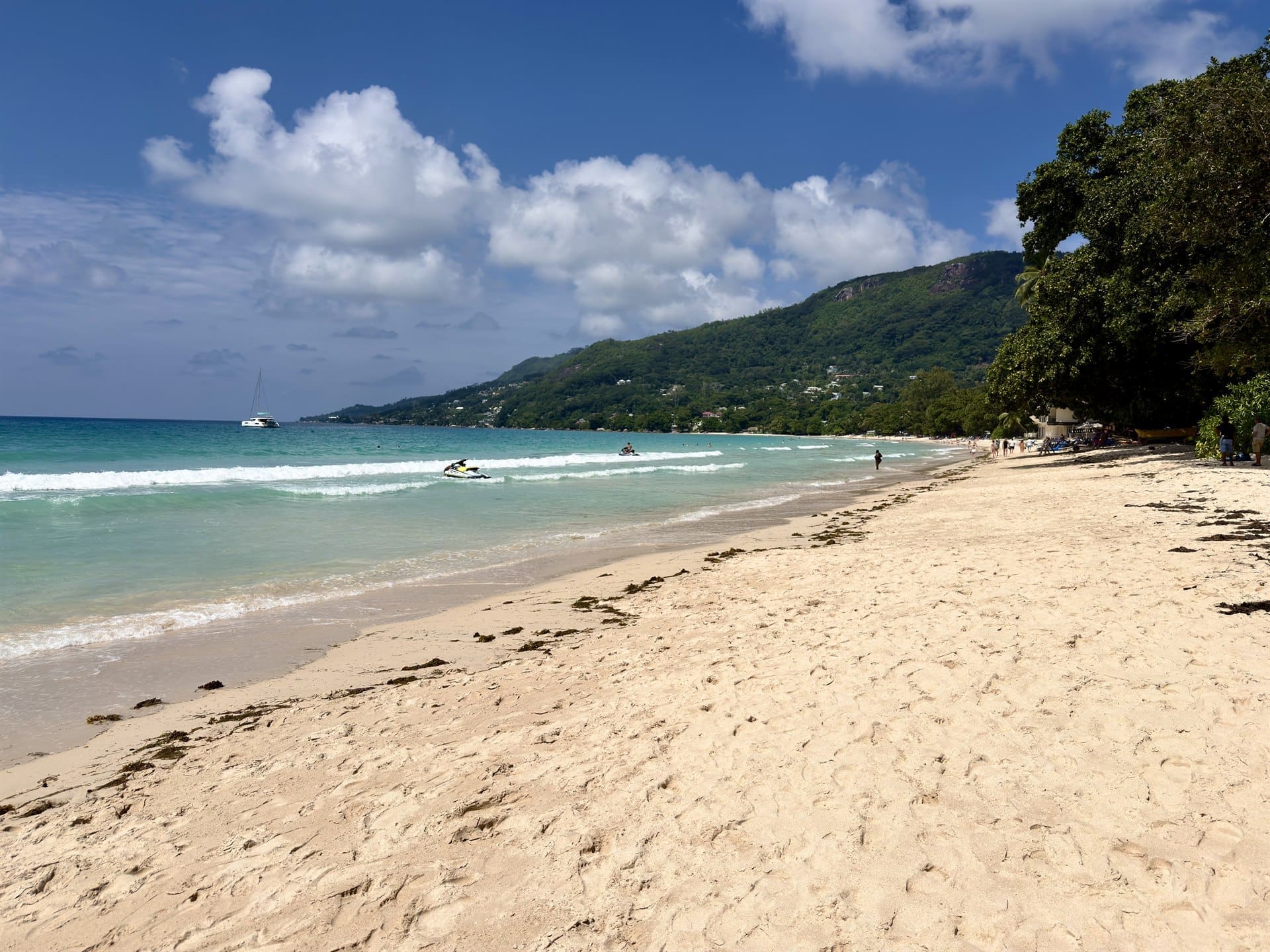 Sejšeli tirkizna plaža Beau Vallon i kokosove palme na otoku Mahé